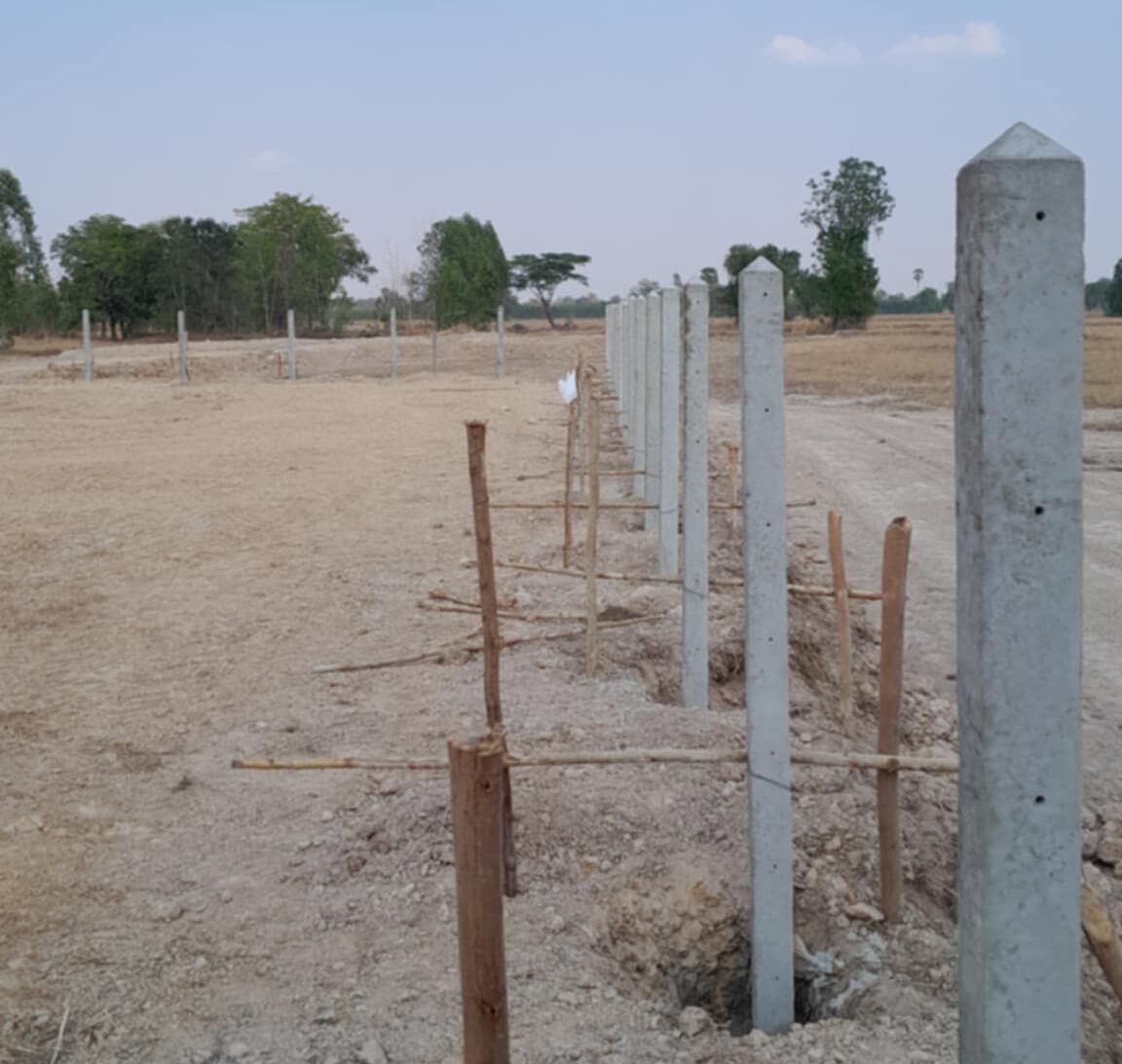 Concrete boundary posts marking the perimeter of rural land in Buriram province, Thailand