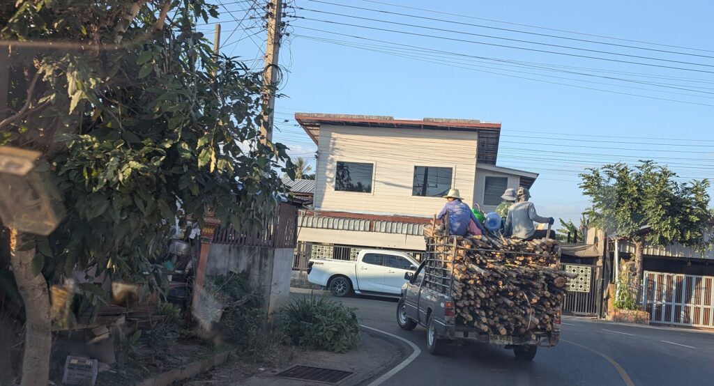 Pickup truck carrying cut eucalyptus trees with workers sitting on top, Buriram province, Thailand