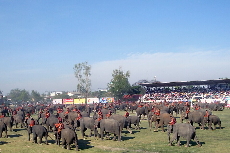 Elephants and mahouts at the Surin Elephant Festival, Thailand, 2009